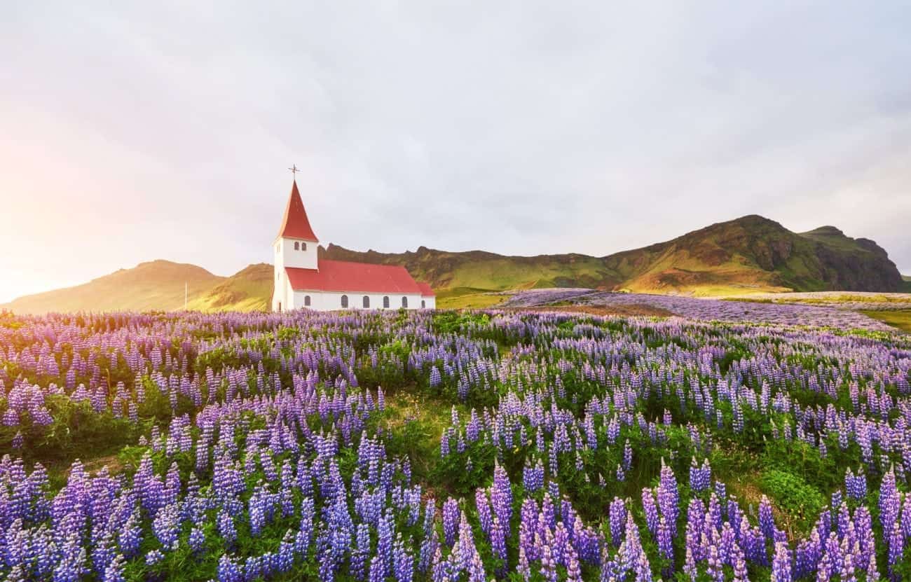 Vik village Iceland