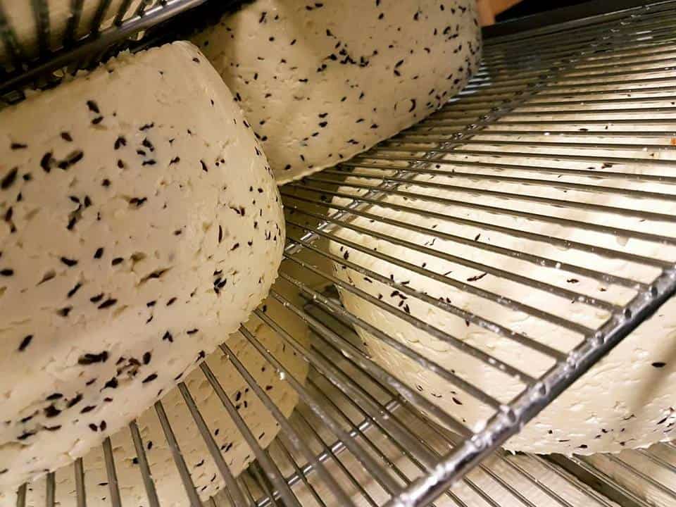 Cumen Cheese at Erpsstadir