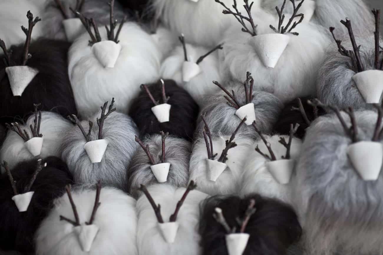 birch-wool-rams