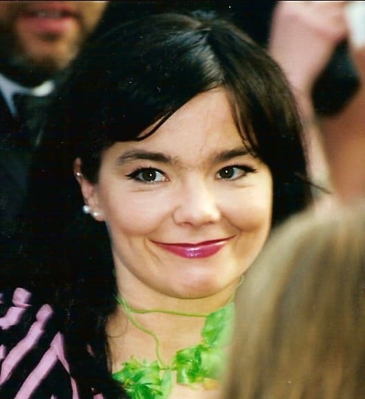 Björk | Wikipedia photo